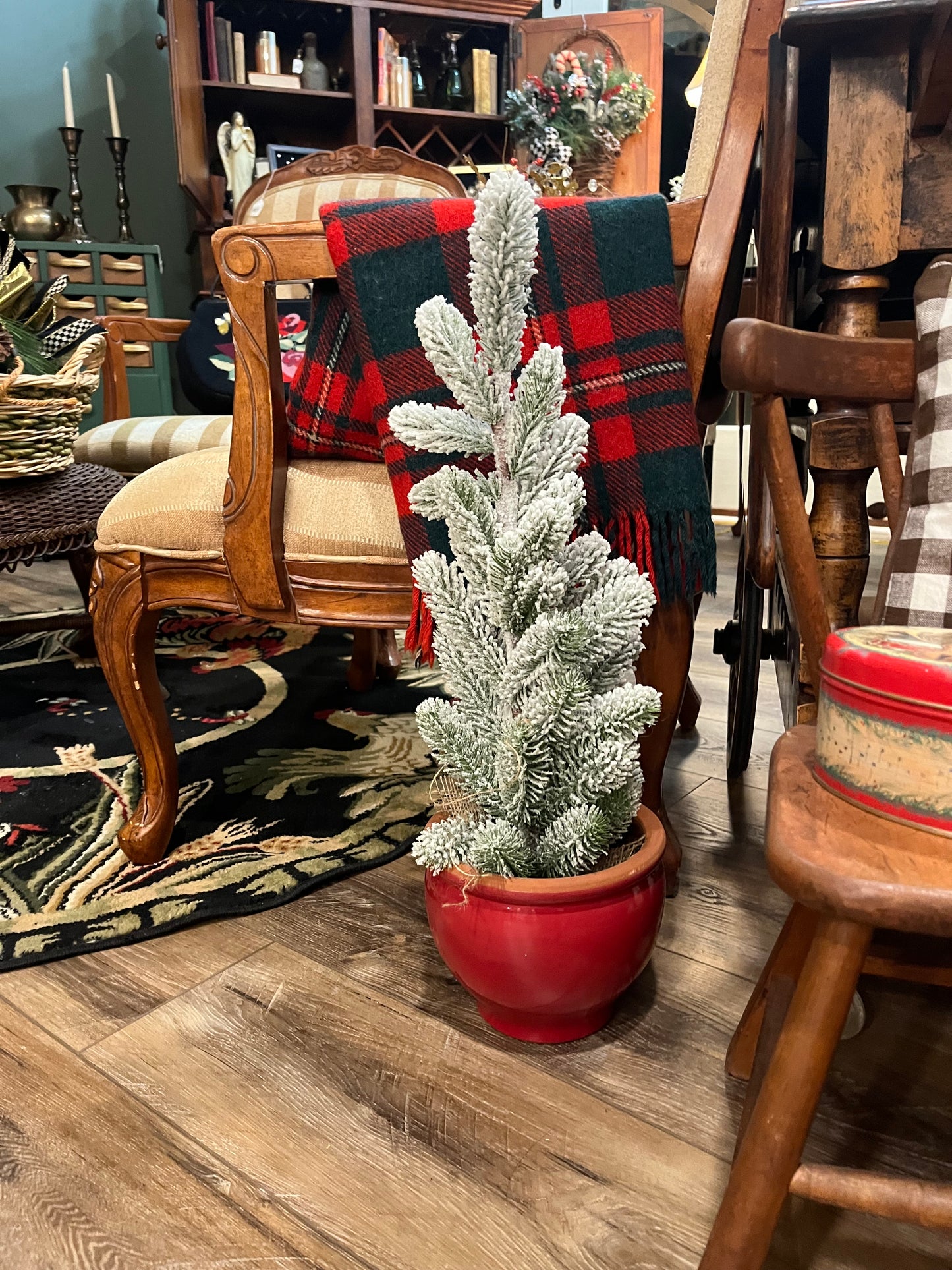 Red Planter (only, no filler)