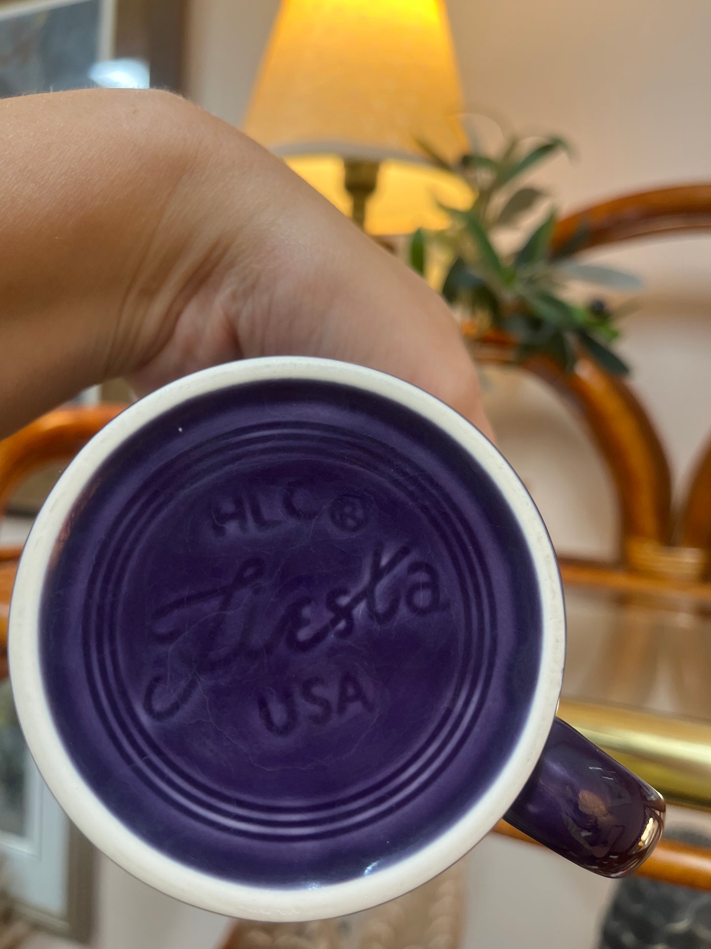 Purple Fiesta Mug